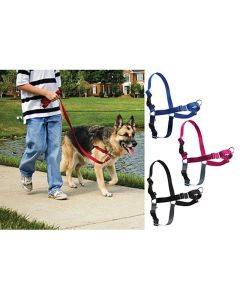 Easy Walk Harness Petite Less Than 5 Lbs