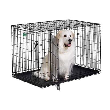 Midwest iCrate Double Door Dog Crate - 48" X 30" X 33"