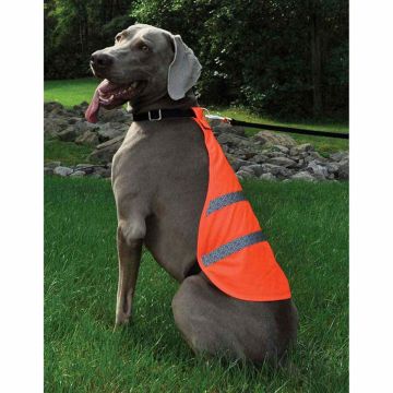 Coastal Reflective Safety Vest Large- over 50 lbs