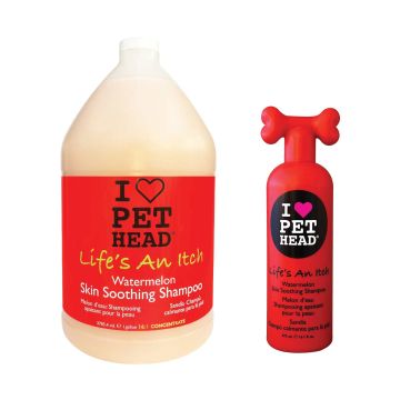 Pet Head Life's An Itch Skin Soothing Shampoo  16:1