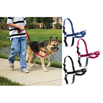 Easy Walk Harness Petite Less Than 5 Lbs